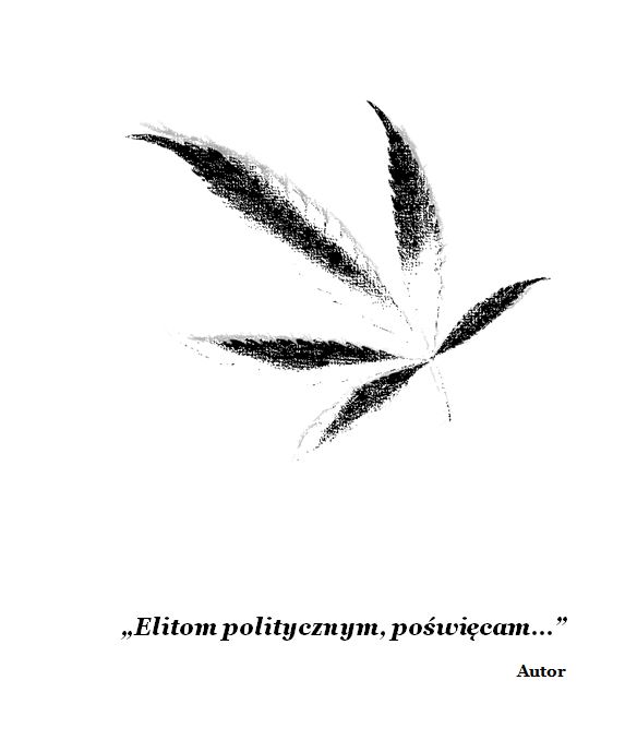 Satyra Kaczkoduk przejmuje ster! 